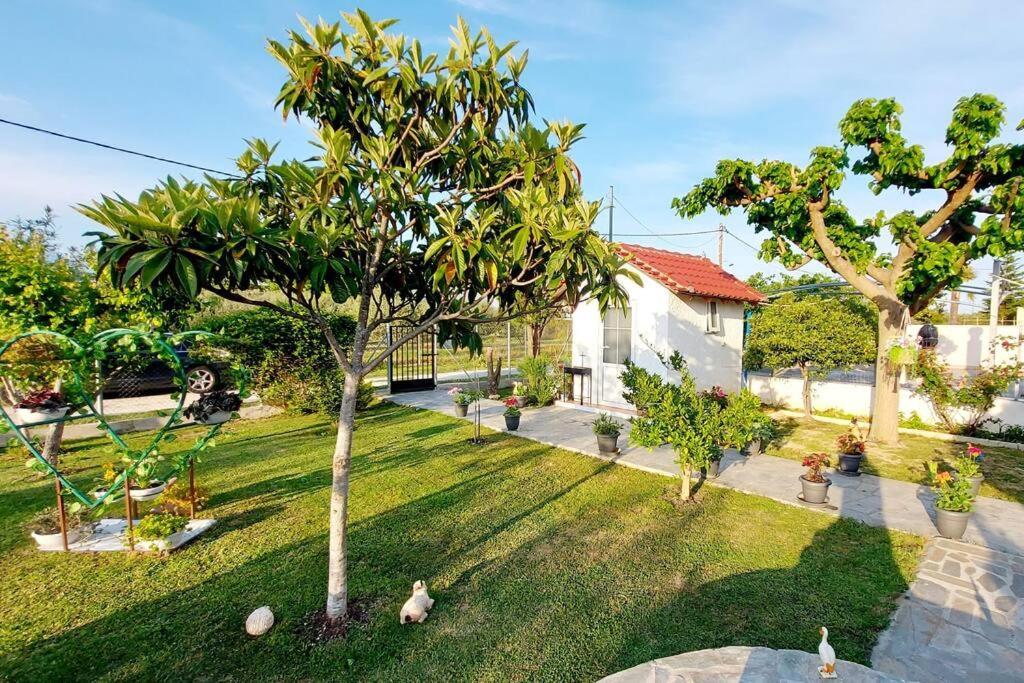 Karianí Mom'S Seaside Home מראה חיצוני תמונה